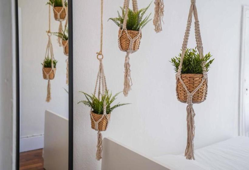 Nocnoc   La Comédie