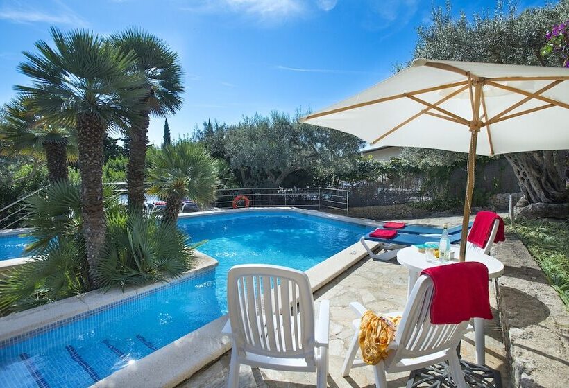 Owl Booking Villa El Vila   Amazing Views