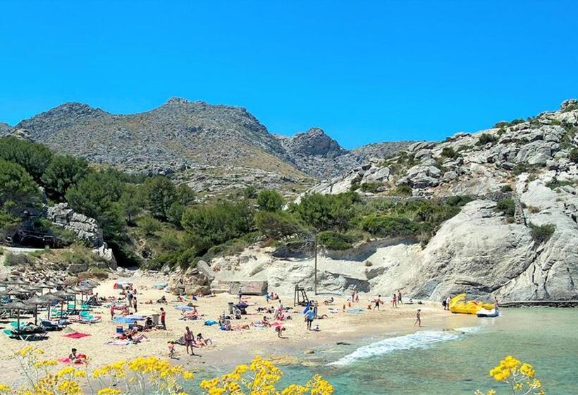 Owl Booking Villa Rafals   Wonder In The Midst Of Nature