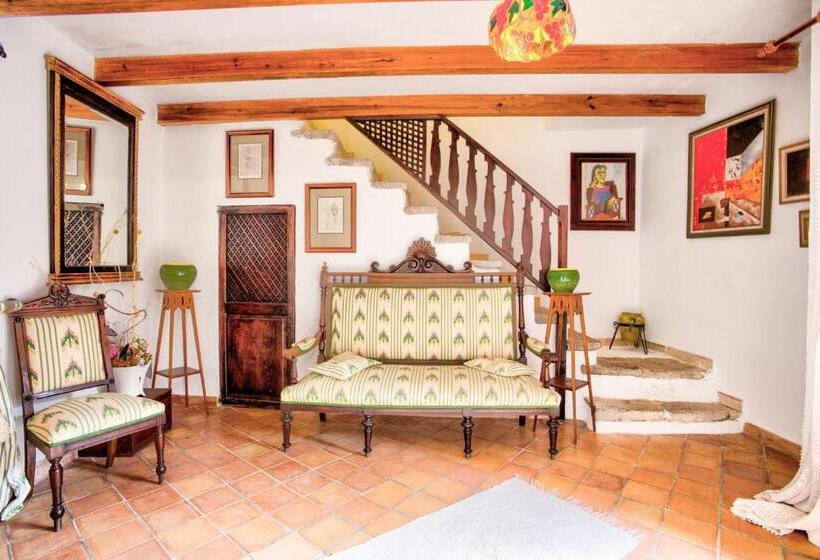 Owl Booking Villa Rafals   Wonder In The Midst Of Nature