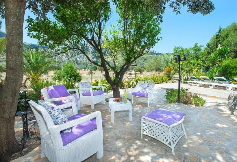 Owl Booking Villa Rafals   Wonder In The Midst Of Nature