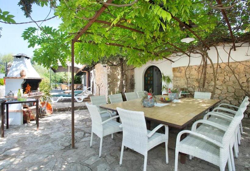 Owl Booking Villa Rafals   Wonder In The Midst Of Nature