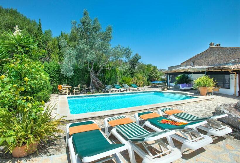 Owl Booking Villa Rafals   Wonder In The Midst Of Nature