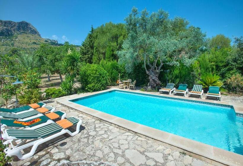 Owl Booking Villa Rafals   Wonder In The Midst Of Nature