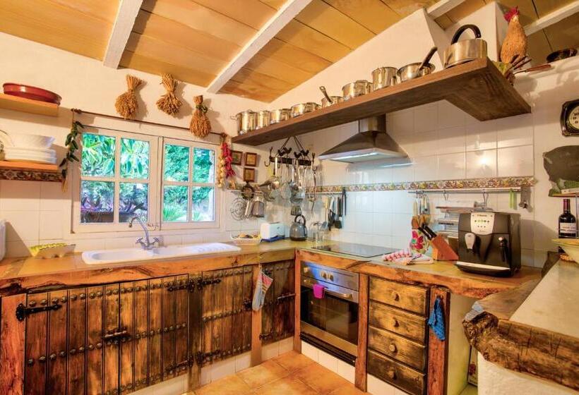 Owl Booking Villa Rafals   Wonder In The Midst Of Nature