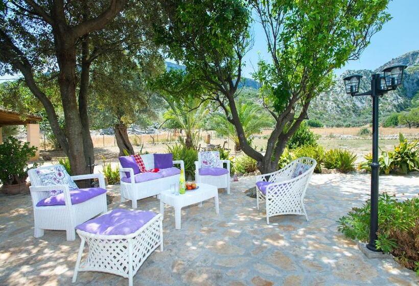 Owl Booking Villa Rafals   Wonder In The Midst Of Nature