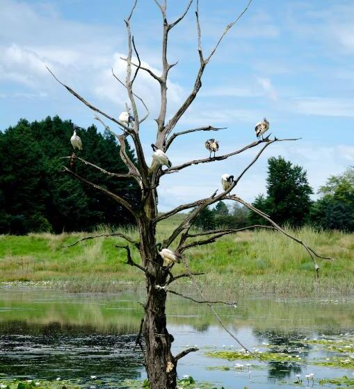 Rawdons Hotel & Brewery