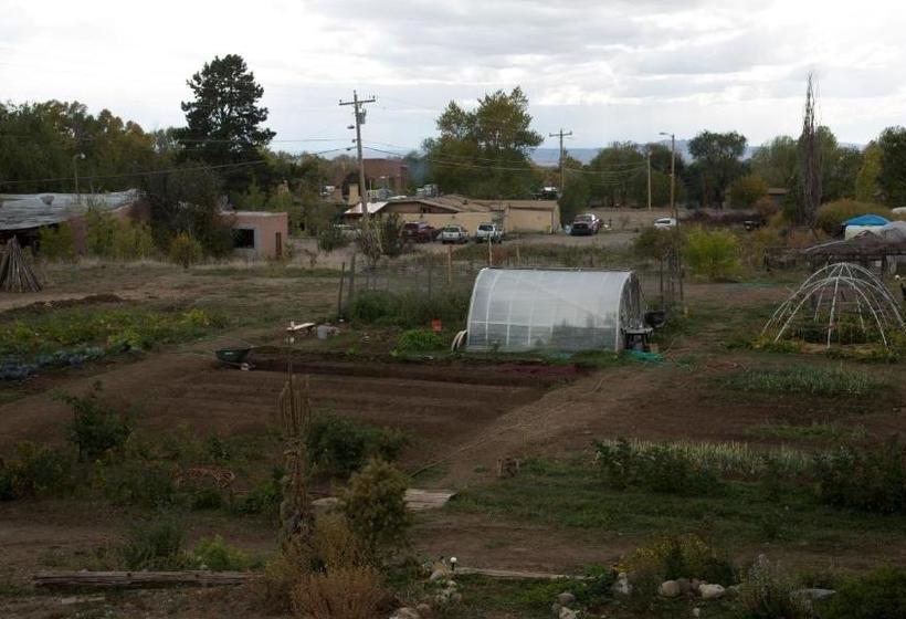 旅馆 Snowmansion Taos Adventure Lodge