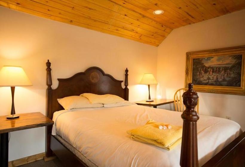 旅馆 Snowmansion Taos Adventure Lodge