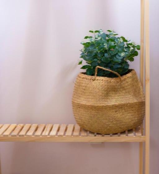 هتل Aha Bliss Boutique Saigon