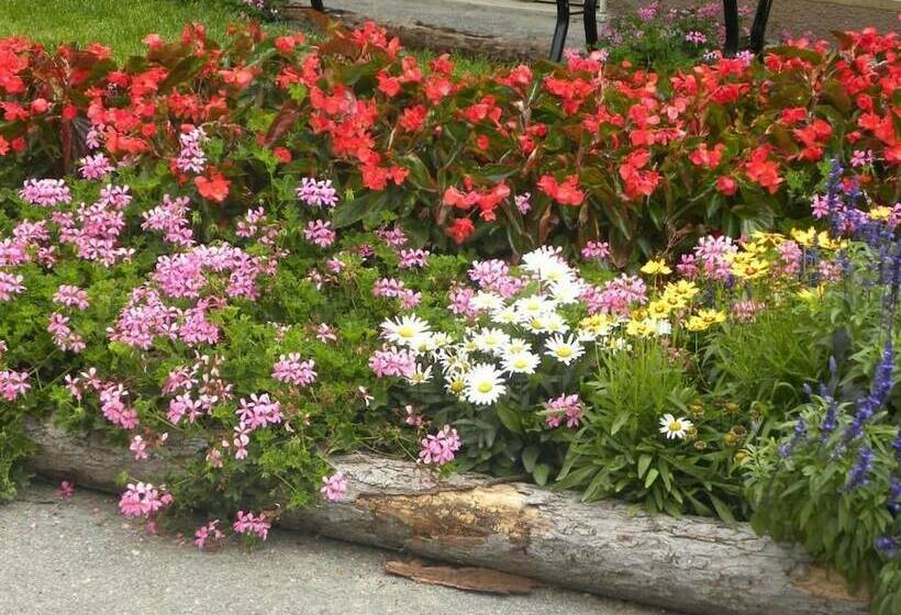 בית מלון כפרי Lares