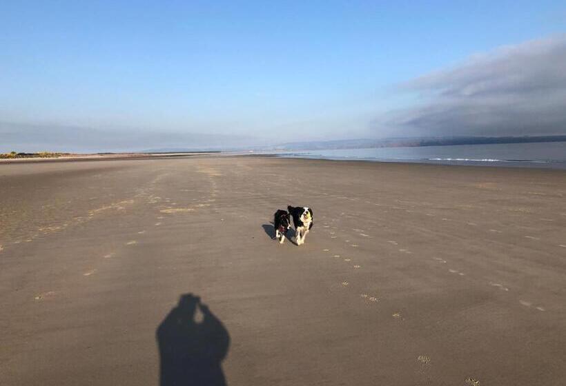 Отель Corsee House