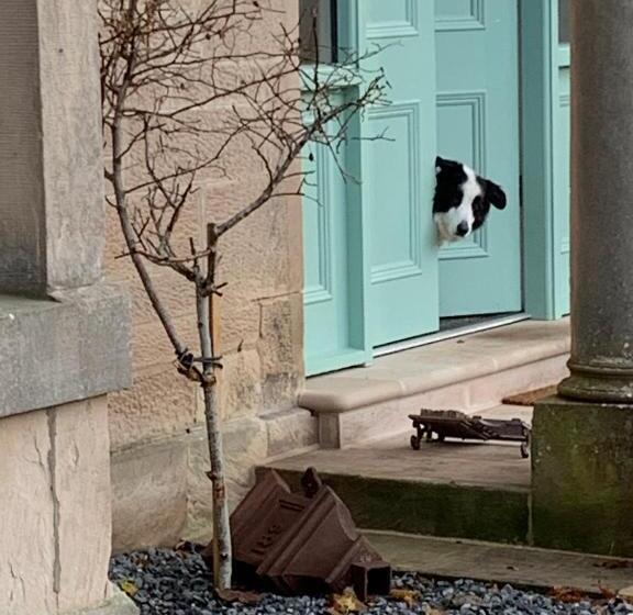 Отель Corsee House