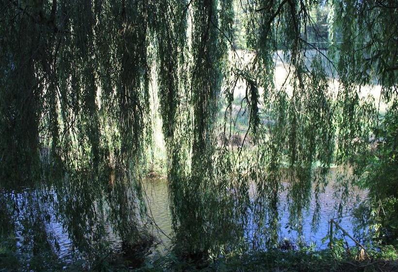 בית מלון כפרי Glenarch House