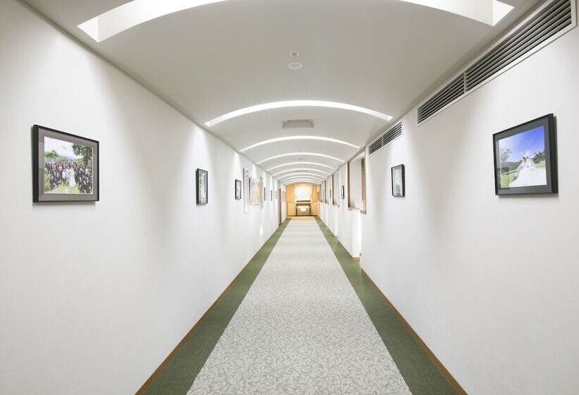 בית מלון כפרי Skypark