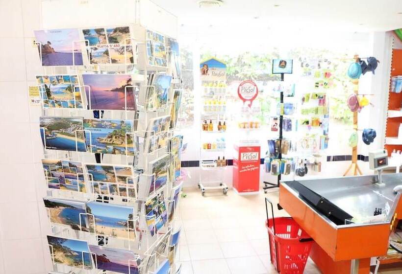 Отель Camping Vall D'or