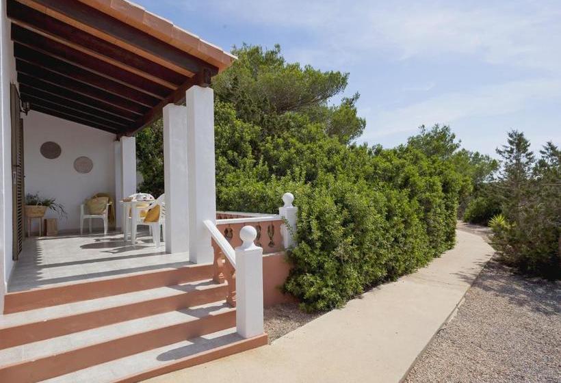 Viviendas Los Olivos Formentera Break