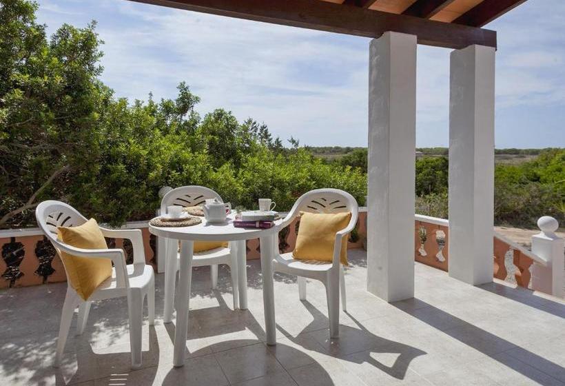 Viviendas Los Olivos Formentera Break