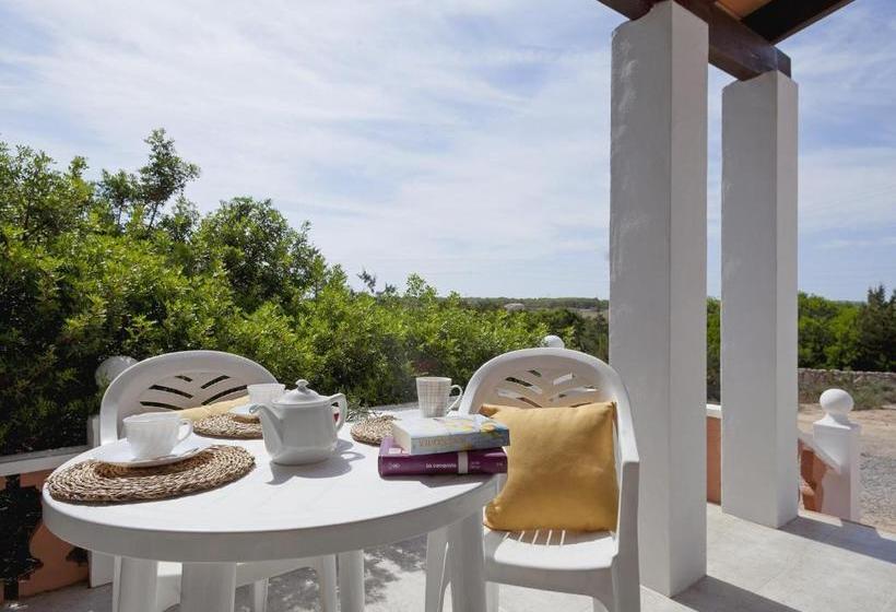 Viviendas Los Olivos Formentera Break