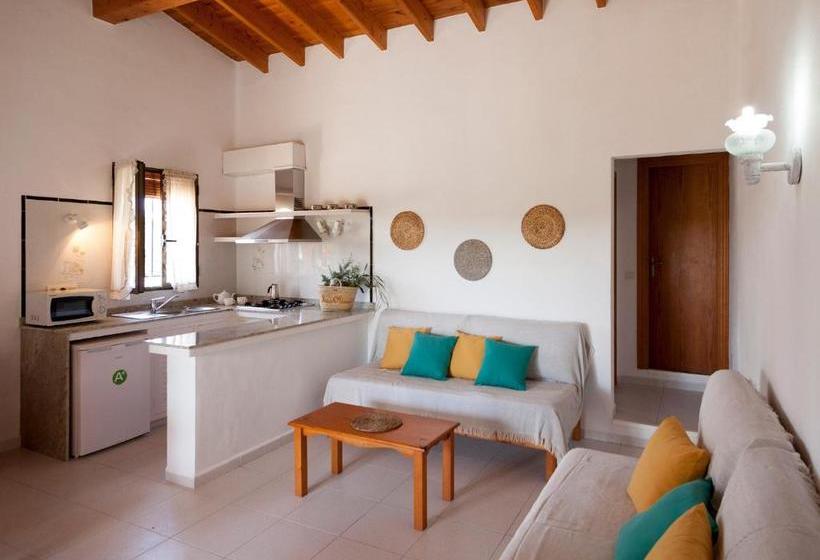 Viviendas Los Olivos Formentera Break