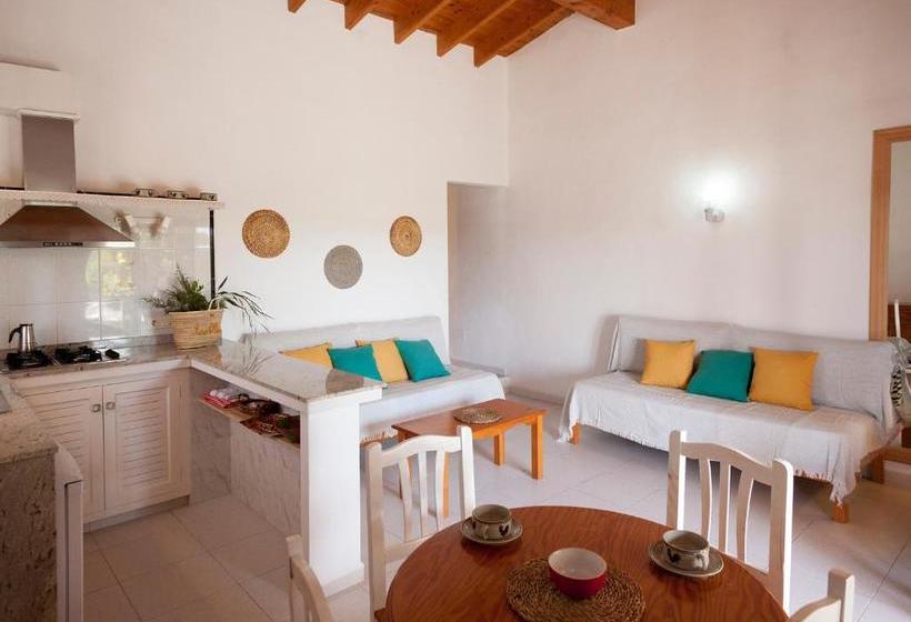 Viviendas Los Olivos Formentera Break