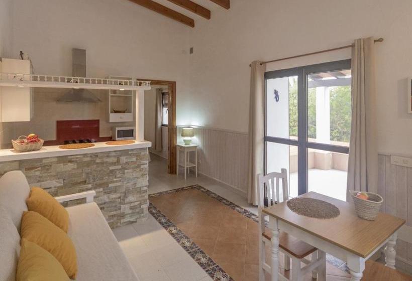 Viviendas Los Olivos Formentera Break