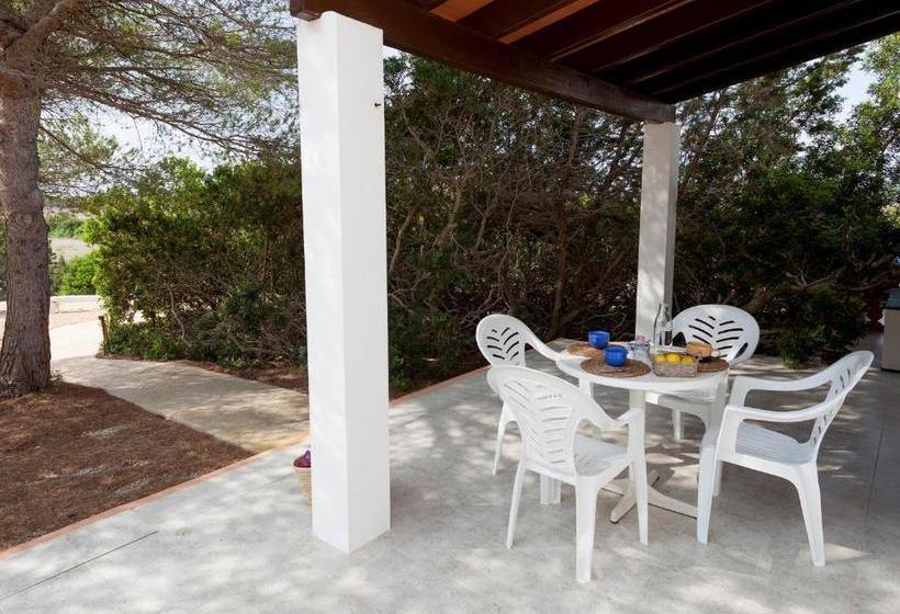 Viviendas Los Olivos Formentera Break