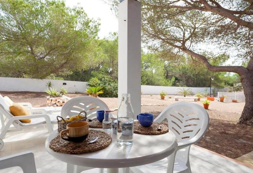 Viviendas Los Olivos Formentera Break