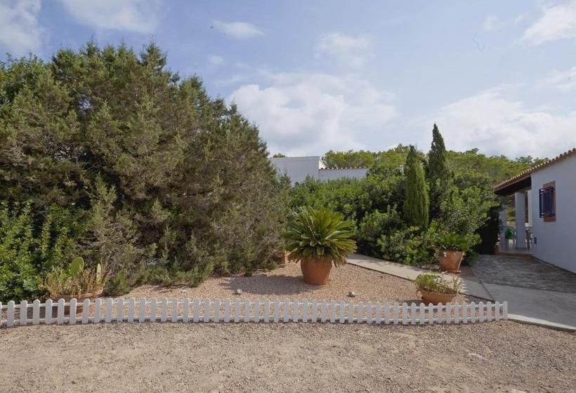 Viviendas Los Olivos Formentera Break