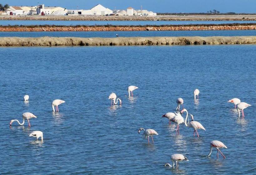 Masquestar Mar Menor