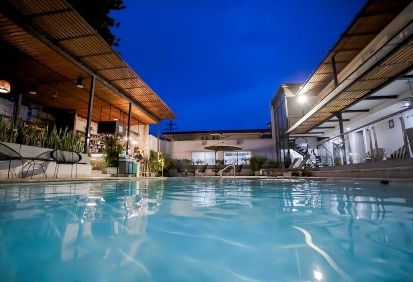 Medellin Vibes Hostel