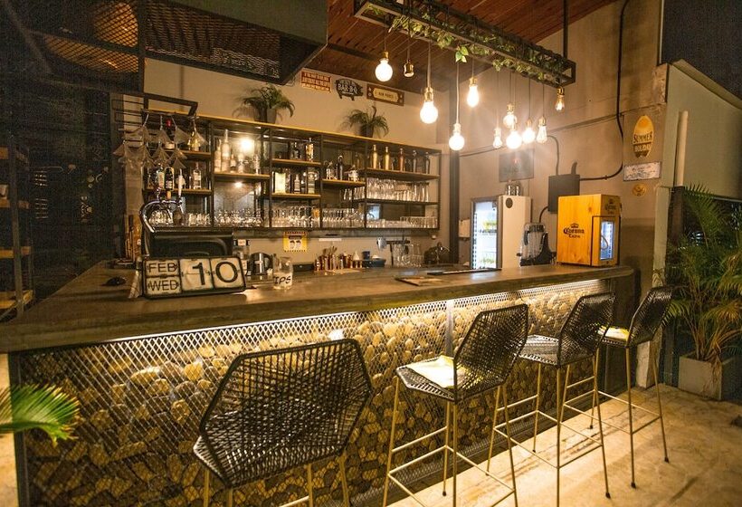 Medellin Vibes Hostel