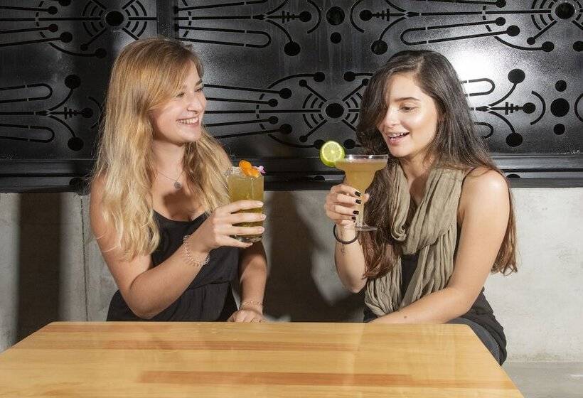 Medellin Vibes Hostel