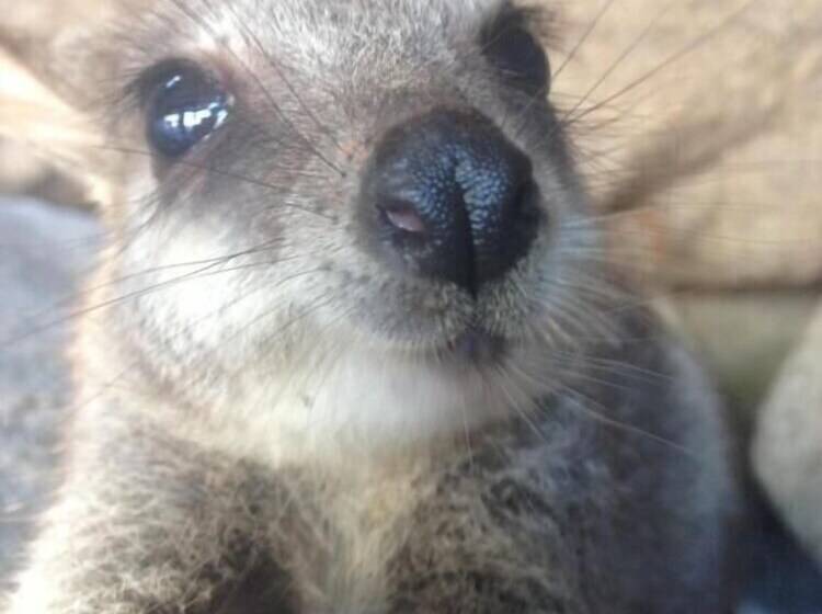 Executive Properties In North Ward Townsville And On Magnetic Island