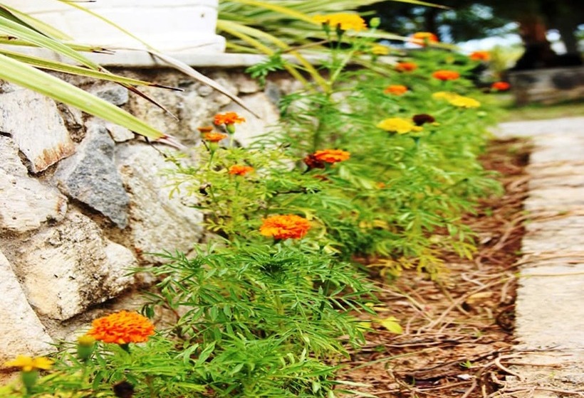 酒店 Fort Edge Retreat