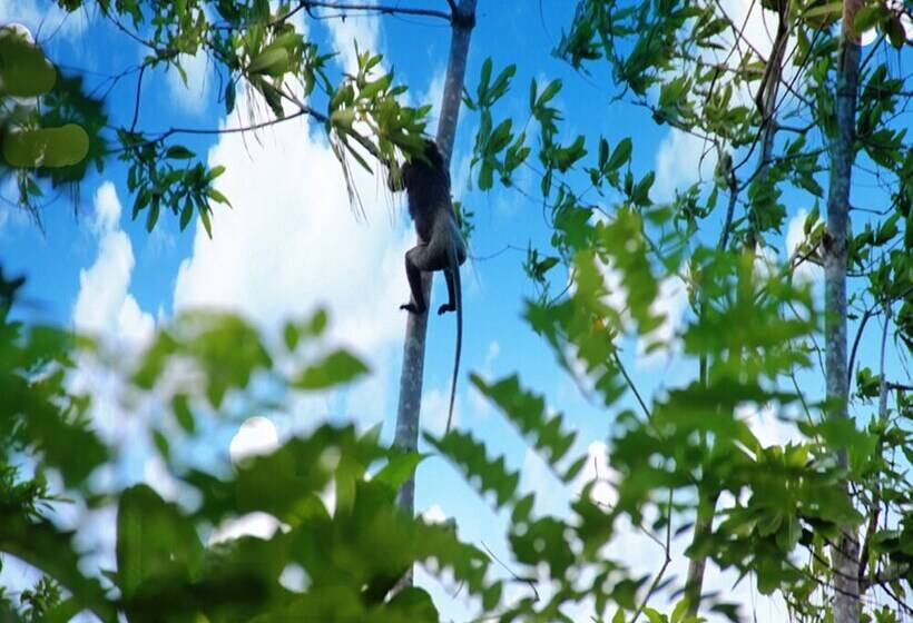 酒店 Fort Edge Retreat