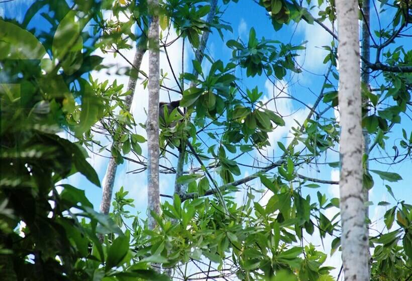 酒店 Fort Edge Retreat