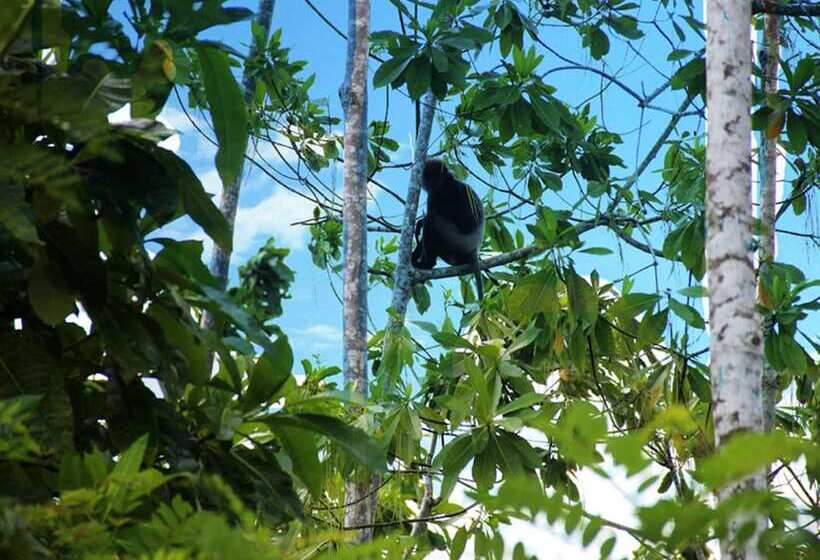 酒店 Fort Edge Retreat