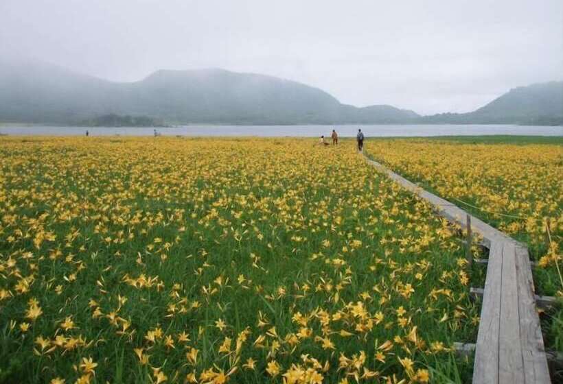 客栈  Donaludo Pension