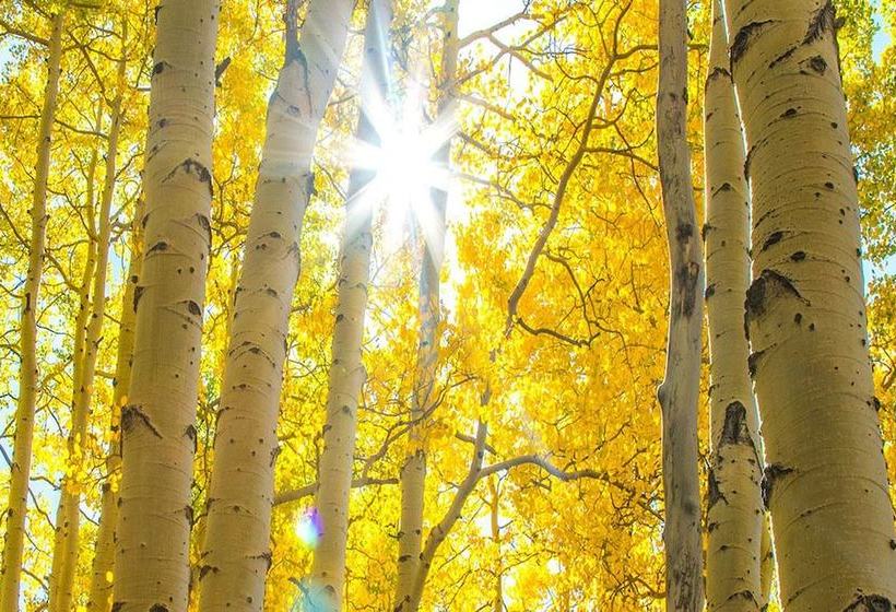 客栈 Perry Mansfield - Sagebrush Cabin