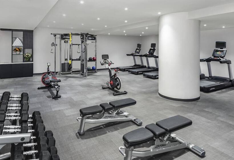 בית מלון כפרי Springhill Suite by Marriot New York Manhatan Times Square South