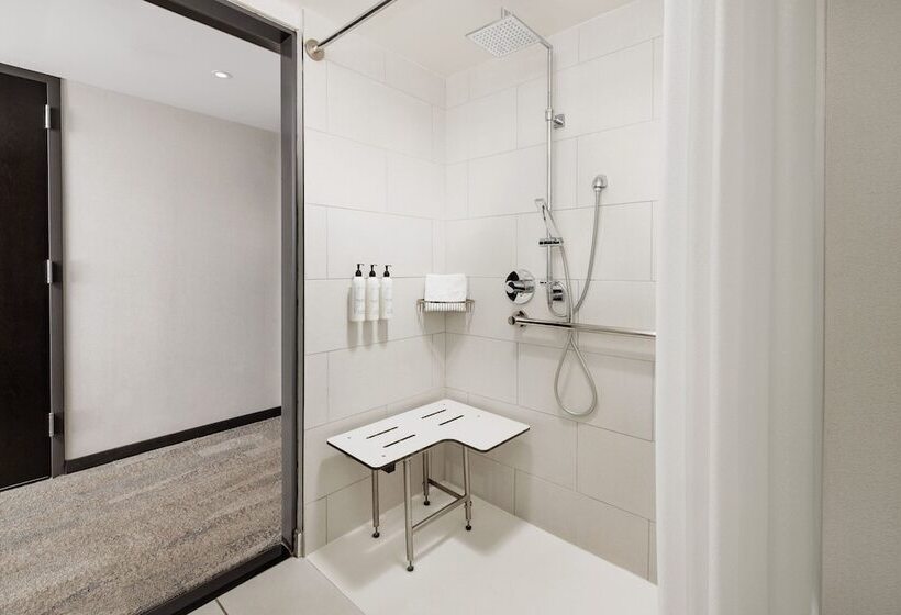 בית מלון כפרי Springhill Suite by Marriot New York Manhatan Times Square South
