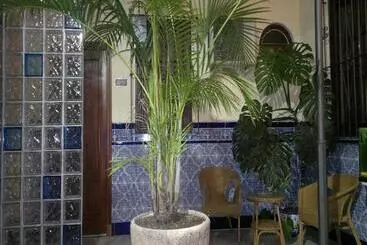 فندق Nova Centro