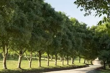 בית מלון כפרי Lancemore Lindenderry Red Hill