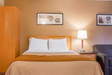 Szálloda Comfort Inn