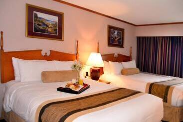 Hotel The Hospitality Inn