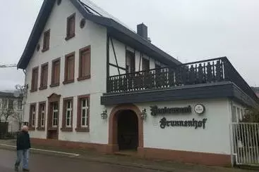 هتل Brunnenhof