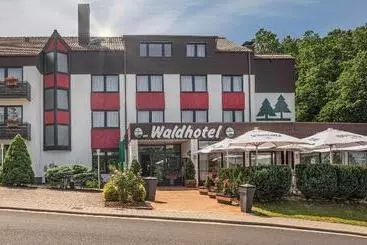 Waldhotel Eisenberg