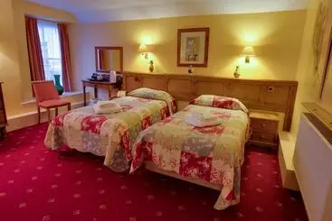 فندق The Wynnstay