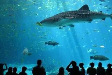 Novotel Bangkok On Siam Square